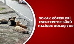 MAHALLE SAKİNLERİ ÇÖZÜM BEKLİYOR