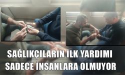 YAPILAN MÜDAHALE İLE HAYATA YENİDEN TUTUNDU