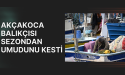 “HAMSİ ERKEN GELDİ, ERKEN GİTTİ”