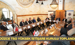 DÜZCE TSO YÜKSEK İSTİŞARE KURULU TOPLANDI