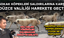 “DÜZCE SOKAKLARINDA ARTIK SAHİPSİZ KÖPEK OLMAYACAK”
