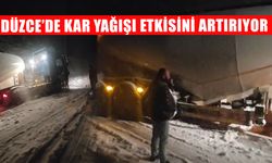 YIĞILCA YOLUNDA MAKASLAYAN TIR ULAŞIMI AKSATTI