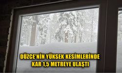 KIŞ ŞARTLARI AĞIR GEÇİYOR