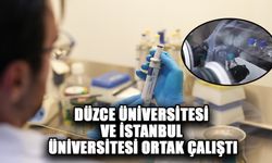 TÜRK BİLİM İNSANLARI KIYI KOROZYONU RİSKLERİNİ YAPAY ZEKAYLA BELİRLEYECEK