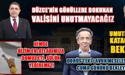 DÜZCE’DE DEVLET AKLI İLE MİLLETİ BULUŞTURAN VALİ SELÇUK ASLAN