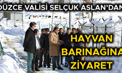 SOKAK HAYVANLARI İÇİN YÜRÜTÜLEN ÇALIŞMALAR HAKKINDA BİLGİ ALDI