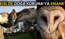 TEDAVİNİN ARDINDAN GÖKYÜZÜNE KANAT ÇIRPACAKLAR