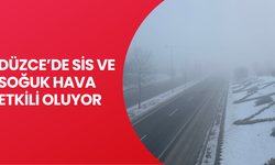 GİZLİ BUZLANMA SÜRÜCÜLERİ ZORLADI