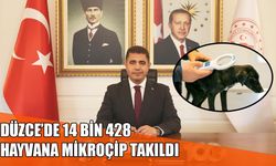 SOKAK HAYVANLARININ YÜZDE 99,3’Ü TOPLANDI