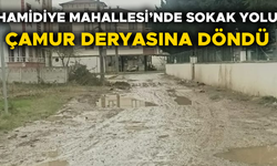 VATANDAŞLAR DURUMA TEPKİ GÖSTERDİ