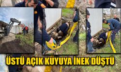 EKİPLERİN TİTİZ ÇALIŞMASI SONUCU İNEK KUYUDAN ÇIKARTILDI
