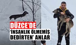 YARALI VE BİTKİN DÜŞMÜŞ KARACAYI KURTARDILAR