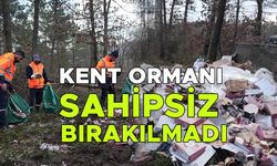 ÇEVRE KİRLİLİĞİ İHLALLERİNDE İDARİ SÜREÇ BAŞLATILACAK