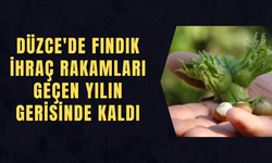 AB ÜLKELERİNE 2025 YILINDA 16 BİN 455 TON FINDIK GÖNDERİLDİ