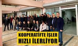 FINDIKÇILARIN YÜZÜ BU DEFA GÜLECEK GİBİ