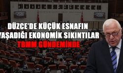 MİLLETVEKİLİ ÖZCAN: DÜZCE’DE KÜÇÜK ESNAF AYAKTA KALMA MÜCADELESİ VERİYOR