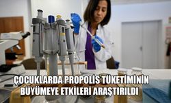 KEKEÇOĞLU: “GÜVENLE PROPOLİSİ KULLANABİLİRLER