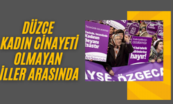 2025 YILINDA DÜZCE OLUMLU TABLODA YER ALDI