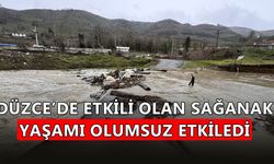 MELEN ÇAYI ÜZERİNDEKİ YOL YÜKSELEN SU NEDENİYLE ULAŞIMA KAPANDI