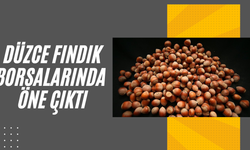 YENİ SEZONDA BİNLERCE TON FINDIK SATILDI