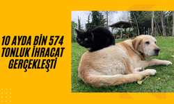 KEDİ KÖPEK MAMASI İHRACATI DÜZCE’DE REKOR SEVİYEYE ULAŞTI