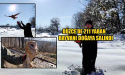 DOĞAYA DÖNEMEYECEK OLANLAR KORUMA ALTINDA