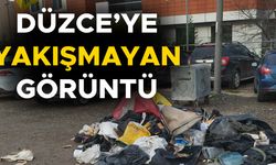 YOL KENARINA BIRAKILAN ÇÖPLER ‘BU KADARINA DA PES” DEDİRTTİ