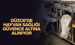 İLKBAHAR ŞAP AŞILAMASI BAŞLADI