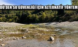 SU BİTKİLERİ İLE DOĞAL ARITMA YÖNTEMİ GERÇEKLEŞTİRİLİYOR