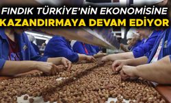 DÜZCE’DEN YÜZ BİNLERCE TON İÇ FINDIK AB ÜLKELERİNE İHRAÇ EDİLDİ