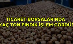 GTB VERİLERİ AÇIKLADI: DÜZCE 4’ÜNCÜ SIRADA