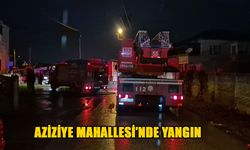 ISINMAK İÇİN YAKTIĞI ATEŞ, YANGIN ÇIKARTTI