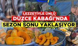 “BOLU VE SAKARYA DA DÜZCE KABAĞI’NI TERCİH EDİYOR”