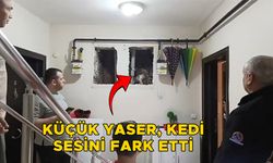 KEDİYİ DÜŞTÜĞÜ YERDEN KURTARDILAR