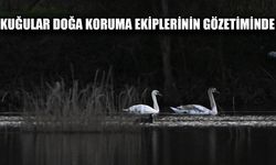 DÜZCE DOĞA KORUMA VE MİLLİ PARKLAR ŞUBE MÜDÜRÜ ŞİMŞEK: “ZİYARETİ ÇOK NADİR OLUYOR”
