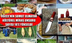 3 YENİ UNSUR ENVANTER LİSTESİNE EKLENDİ