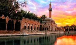 Can Dostlar İçin Seferberlik: Modern Barınak Projeleri Hayata Geçiyor