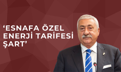 DÜZCELİ ESNAF YÜKLÜ FATURALARDAN DERTLİ…