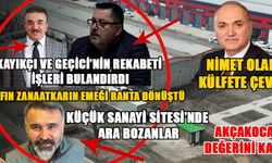 ÖZLÜ: TÜRKİYE İÇİN KAYIP, DÜZCE İÇİN KAZANÇ