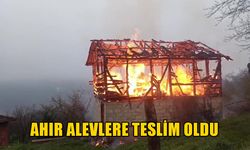 CAN KAYBI OLMAMASI YÜREKLERE SU SERPTİ