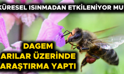 LABORATUVAR ÇALIŞMALARININ SONUÇLARI AÇIKLANDI