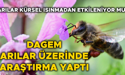 LABORATUVAR ÇALIŞMALARININ SONUÇLARI AÇIKLANDI