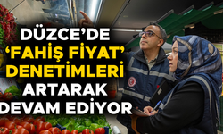 ÇOK SAYIDA FİRMA DENETLENDİ, YÜKSEK MİKTARDA PARA CEZASI UYGULANDI