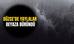 SİNEKLİ VE SAKARCA YAYLALARINDA KAR KALINLIĞI 1 METREYİ BULDU