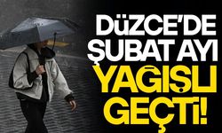 DÜZCE’DE ŞUBAT AYI YAĞIŞLI GEÇTİ