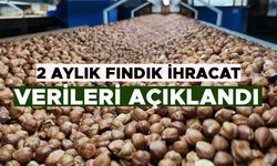 DÜZCE'DEN AB ÜLKELERİNE BİN 837 TON FINDIK İHRAÇ EDİLDİ
