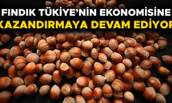 MİLYONLARCA DOLAR GELİR ELDE EDİLDİ