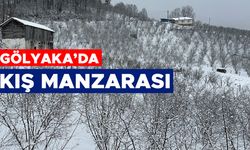 YÜKSEK KESİMLER BEYAZ ÖRTÜYLE KAPLANDI