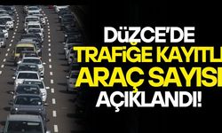 ŞUBAT AYINDA 3 BİN 591 ARACIN KAYDI YAPILDI