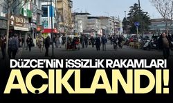 DÜZCE’DE İŞSİZLİK ORANI DEĞİŞMEDİ